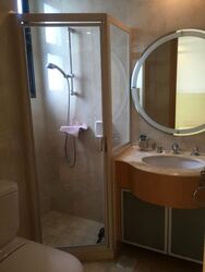 Dunman View (D15), Condominium #517069731